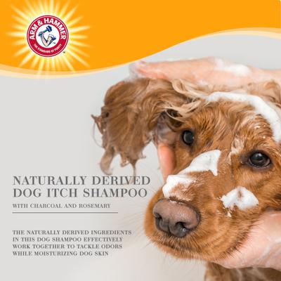 Ultra Fresh Deep Cleansing with Charcoal & Rosemary Value Size Dog Shampoo, 24-fl oz bottle