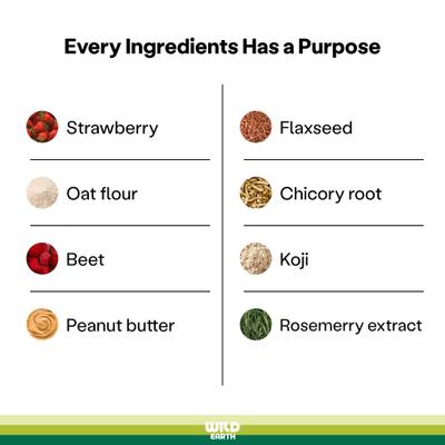 Snacks crujientes de proteína para perros con sabor a fresa y remolacha Koji, bolsa de 5 oz