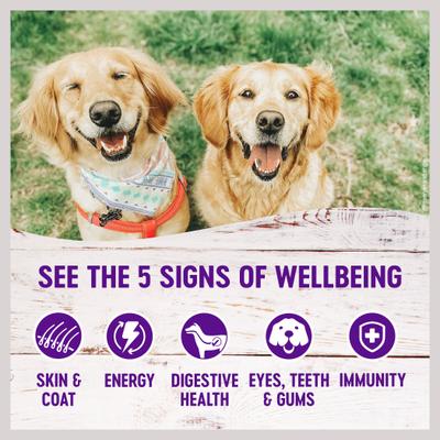 Alimento enlatado para perros Complete Health Lamb & Sweet Potato Formula, 12 onzas (340 g), caja de 12