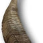 Goat Horn Dog Treats, Large