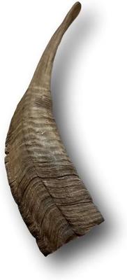 Goat Horn Dog Treats, Large