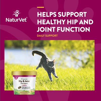 Hip & Joint Plus Omegas Soft Chews Joint Supplement for Cats, 60 count