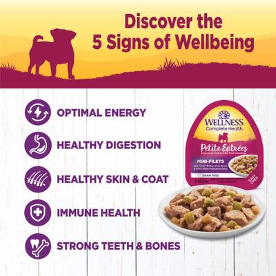 Complete Health Petite Entrees Adult Small Breed Grain-Free Turkey, Green Beans & Sweet Potato Mini-Filets Wet Dog Food, 3-oz cup, case of 12