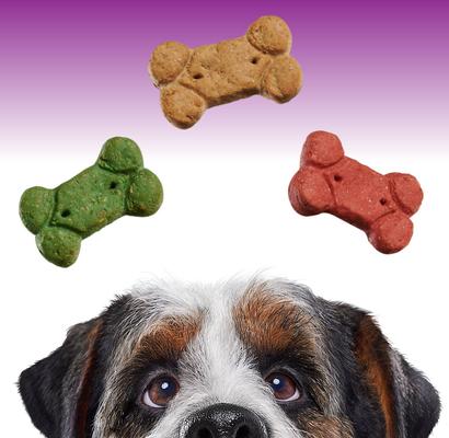 EnTrust Crunchers Assorted Crunchy Dog Treats, Small, 3.5-lb bag