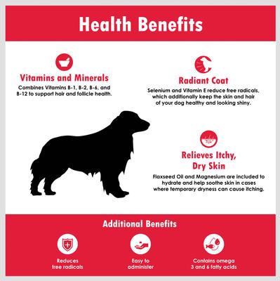 Regular Strength Liver Flavored Chewable Tablet Skin & Coat Supplement for Dogs, 120 count
