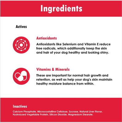 Regular Strength Liver Flavored Chewable Tablet Skin & Coat Supplement for Dogs, 120 count