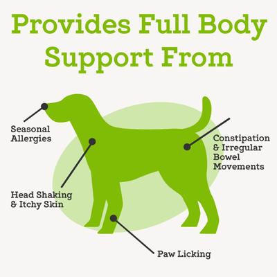 Advanced Powdered Pre & Probiotics Powder Digsestive Supplement for Dogs, 6.3-oz jar