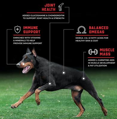 CanineX Performance Beef Formula Dry Dog Food, 40-lb bag