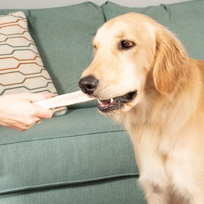 Golosina masticable grande para perros con astas de alce