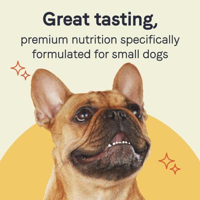 PURE Petite All Stages - Cena estilo boloñesa para razas pequeñas con carne de res y zanahorias, bandejas de comida húmeda para perros, 3.5 oz, caja de 12