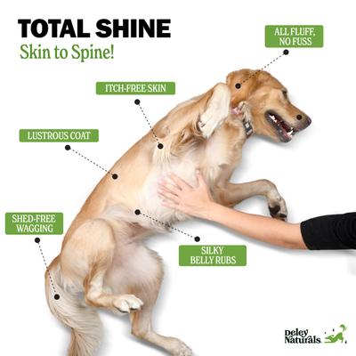 Omega Salmon Flavored Skin & Coat Chews Supplement for Dogs, 9.525-oz canister, 90 count