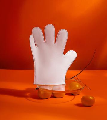 Pet Cleaning Gloves & Wipes, 10 count