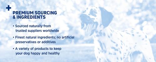 Odor-Free Jumbo 12" Bully Sticks Dog Treat