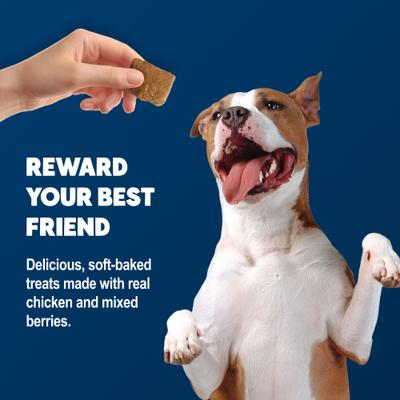 Benebars Immune Support, Chicken & Mixed Berries Natural Dog Treats, 9-oz bag