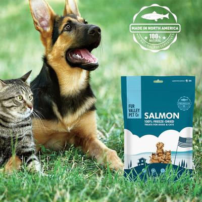 Salmon Freeze-Dried Dog & Cat Treats, 12-oz bag