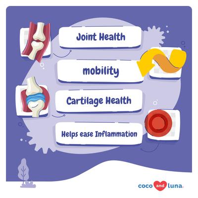 Coco and Luna Green Lipped Mussel, Glucosamine, MSM & Turmeric Soft Chew Hip & Joint Supplement for Dogs, 90 count