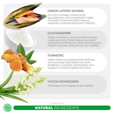 Coco and Luna Green Lipped Mussel, Glucosamine, MSM & Turmeric Soft Chew Hip & Joint Supplement for Dogs, 90 count