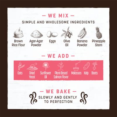 No-Hide Small Roll Long Lasting Natural Rawhide Alternative No Salmon Vegetarian Recipe Dog Chew Treat