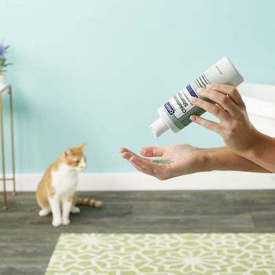 Chlorhexidine Dog & Cat Shampoo, 2 count
