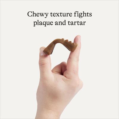 Grain-Free Small Dental Dog Treats Mint Flavor, 120 count