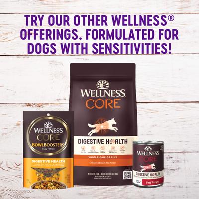 Simple Limited Ingredient Diet Lamb & Oatmeal Formula Canned Dog Food, 12.5-oz, case of 12