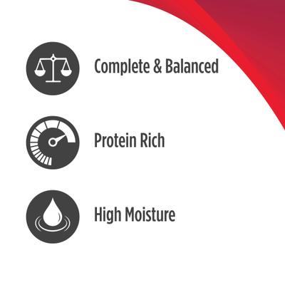 FreeStyle Mackerel, Shrimp & Mussels Stew Wet Cat Food, 2.8-oz pouch, case of 24