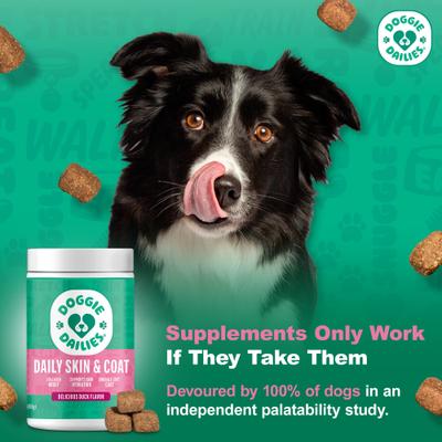 Duck Flavored Skin & Coat Dog Supplement, 225 count