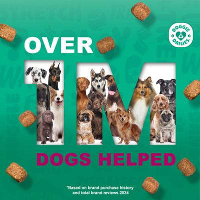 Duck Flavored Skin & Coat Dog Supplement, 225 count