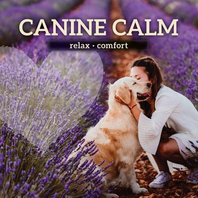 Canine Calm Aromatherapy Roller for Dogs, 0.34-oz