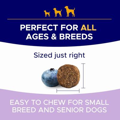 Probiotic Gut Health Blend Hickory Bacon Flavored Soft Chew Supplement for Dogs, 120 count