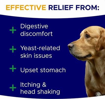 Probiotic Gut Health Blend Hickory Bacon Flavored Soft Chew Supplement for Dogs, 120 count