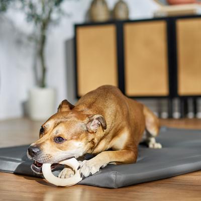 DogLicious 5.5" Donut Rawhide Dog Treat