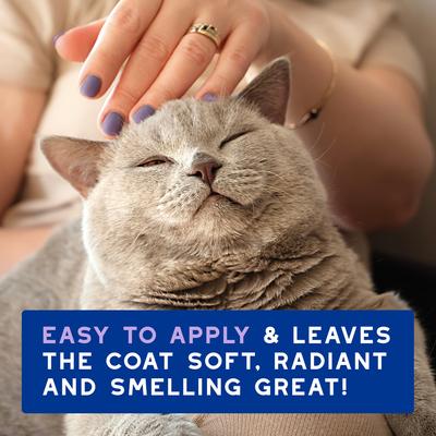 Mousse refrescante para gatos Skin & Coat SPA UltraSafe LowStress Refresh, sin enjuague, botella de 10 onzas líquidas