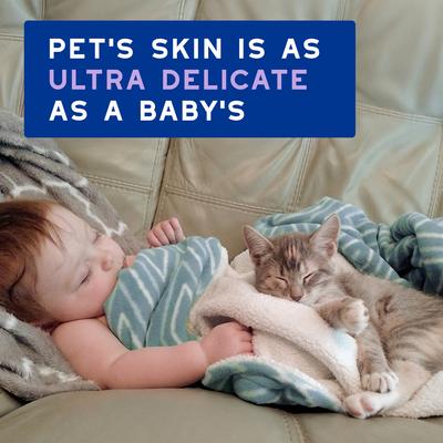 Skin & Coat SPA UltraSafe LowStress Refresh Leave on Cat Mousse, 10-fl oz bottle