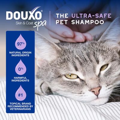 Mousse refrescante para gatos Skin & Coat SPA UltraSafe LowStress Refresh, sin enjuague, botella de 10 onzas líquidas
