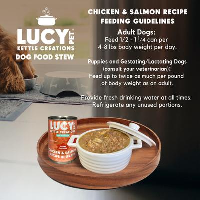 Kettle Creations Chicken & Salmon Recipe in Gravy Wet Dog Food, 12.5-oz can, case of 12