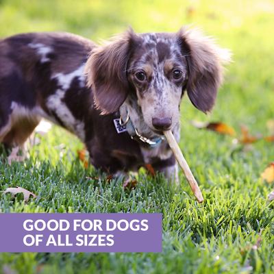 Collagen Retriever Adult Sticks 0.6-cm Duck Flavor Dog Treats, 25 count