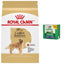 Paquete: Alimento seco para perros Royal Canin Golden Retriever Adult + premios dentales grandes Greenies
