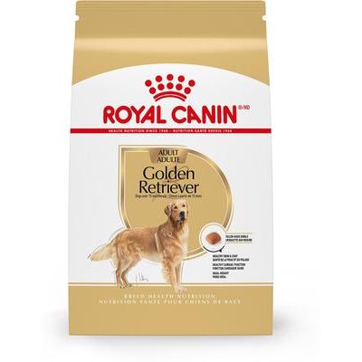 Paquete: Alimento seco para perros Royal Canin Golden Retriever Adult + premios dentales grandes Greenies