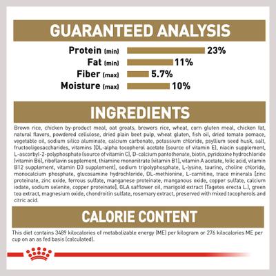 Paquete: Alimento seco para perros Royal Canin Golden Retriever Adult + premios dentales grandes Greenies