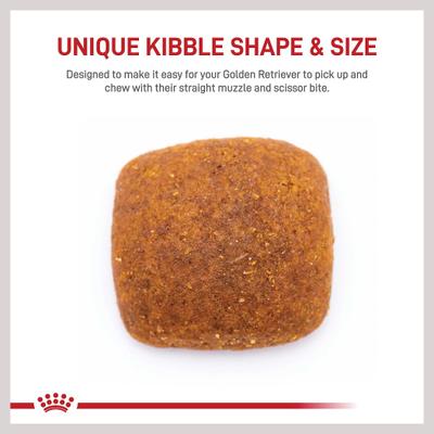 Paquete: Alimento seco para perros Royal Canin Golden Retriever Adult + premios dentales grandes Greenies