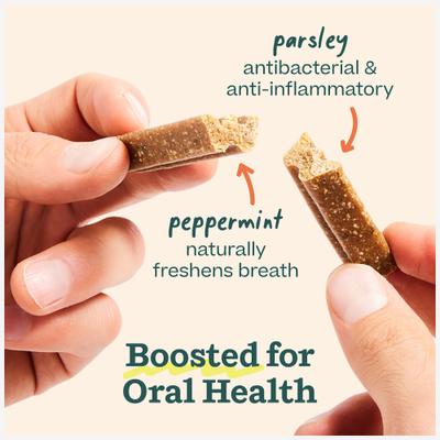 Bite n' Brush Refill Grain-Free Chicken Sticks Adult Dental Dog Chew Treats, 8-oz bag