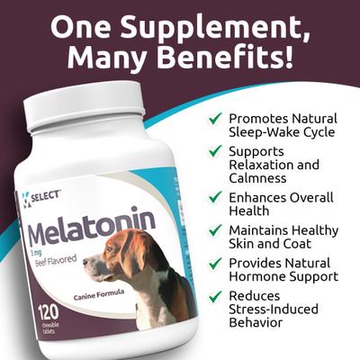 Melatonin Beef Flavor Calming Dog Supplement, 3-mg, 120 count
