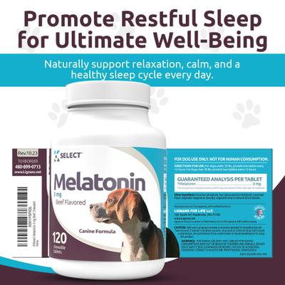 Melatonin Beef Flavor Calming Dog Supplement, 3-mg, 120 count