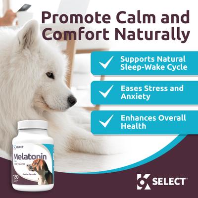 Melatonin Beef Flavor Calming Dog Supplement, 3-mg, 120 count