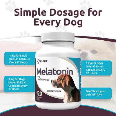 Melatonin Beef Flavor Calming Dog Supplement, 3-mg, 120 count