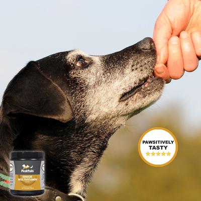 Senior Multivitamin Tablet Supplement for Dogs, 150 count