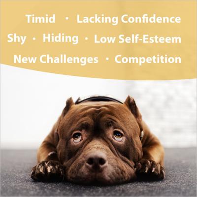 Ego Builder Calming Pet Supplement, 1-fl oz bottle