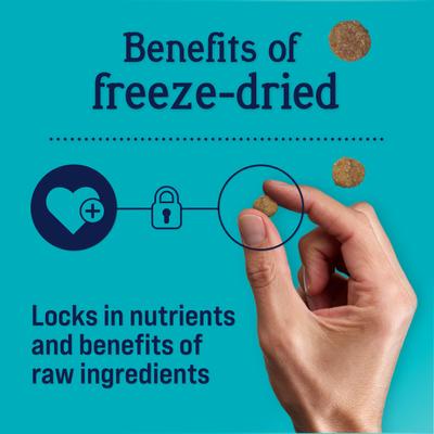 Raw Coated Chicken & Vegetable Recipe Grain-Free Freeze-Dried Dog Food, 4-lb bag