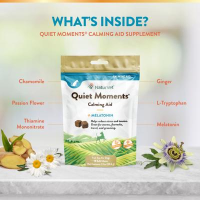 Quiet Moments Poultry Flavored Soft Chew Calming Supplement for Dogs, 1.3-oz bag